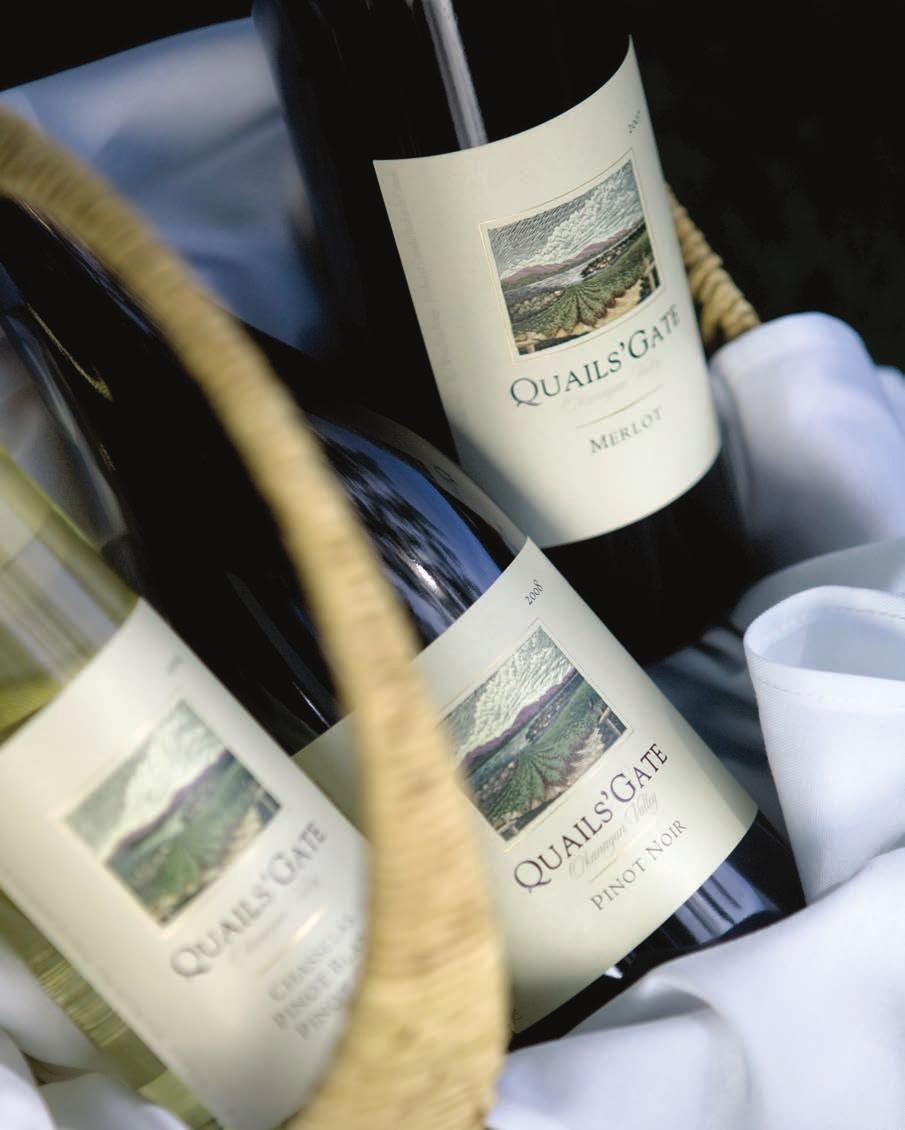 The entire philosophy of winemaking at Quails Gate is predicated on quality over quantity and an expression of our unique terroir in every wine.