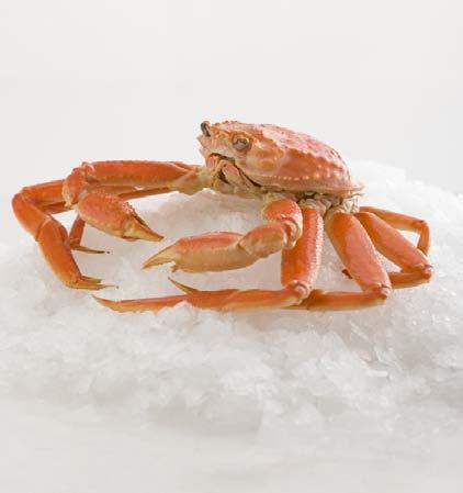 Million of Canadian Dollars % Change BY THE NUMBERS Agri-food Imports World (US $Billion) Top Supplier Total 14.1 China Frozen shrimp and prawns 1.764 Vietnam Frozen crab 0.
