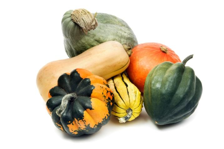 Winter Squash Figure 19. This image shows some commonly available winter squash.