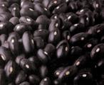 GET TO KNOW PULSES BLACK BEANS LENTILS NAVY BEANS PINK BEANS Tender, with a lingering hint of mushroom.