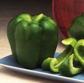 High-quality peppers for the western U.S. NEW! Upbeat Upbeat is an open field blocky pepper variety that produces high yields of and large fruits with rich, distinctively dark green color.