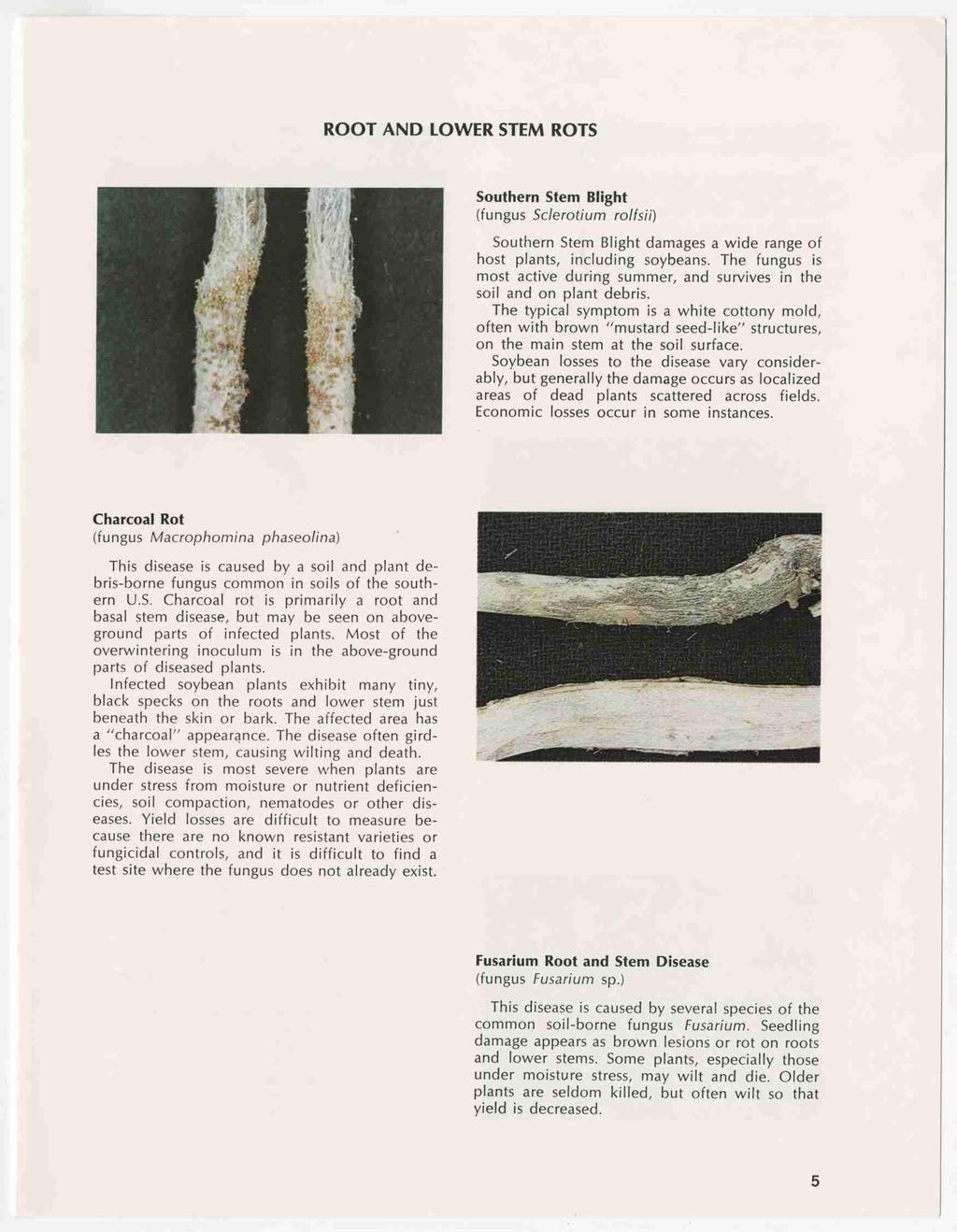 ROOT AND LOWER STEM ROTS Southern Stem Blight (fungus Sclerotium ro/fsii) Southern Stem Blight damages a wide range of host plants, including soybeans.