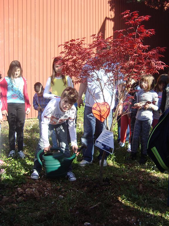 2. dio: Zelena pričaonica: učenici su razgovarali o drveću, prirodi te zaštiti i očuvanju zelenih površina na kraju Noći knjige učenici su posadili drvo crvenog