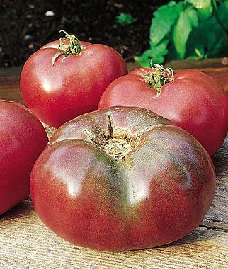 Cherokee Purple tomato 85 days beefsteak HEIRLOOM. Its flavor is rich and full often compared with Brandywine.