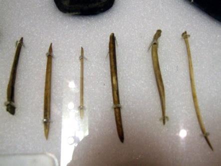 Scientists have found artifacts such as spear points near the bones of ancient animals.