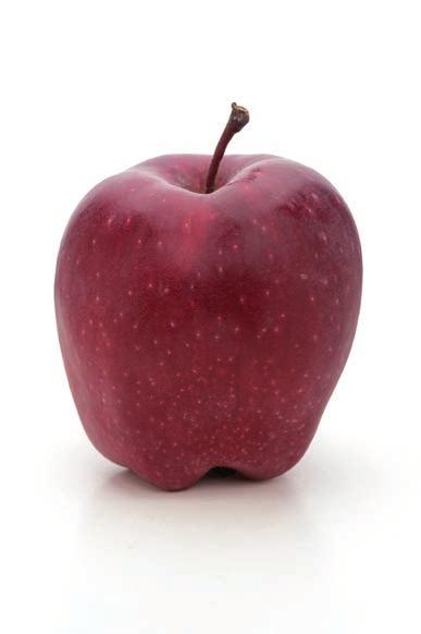 Ripening period: beginning to mid-october. Fruit: cross between Ralls Janet & Red Delicious.