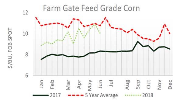 NATIONAL ORGANIC GRAIN AND FEEDSTUFF MARKETS Organic grain and feedstuff markets. Suppliers of feed grade corn and soybeans are seeing light to moderate demand from buyers in the market.