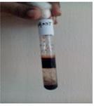 Figure 8: Grape seed Test for Terponoids A reddish brown colouration formed in the