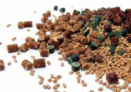 Examples: snacks, face (pellets in the shape of figures) Formed products The shape of these products is determined by the die when they exit the