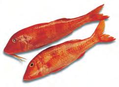 RED MULLET Porgy Also known as rouget barbet (roo-zhay bar-bay), rouget. Type: Lean. Red mullet Varieties: A member of the goatfish family.
