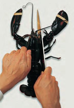 Pierce the head with a firm thrust of the knife point to kill the lobster quickly.