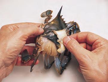 Crabs taste best when fresh, but very few (except soft-shell crabs) are purchased live because of the
