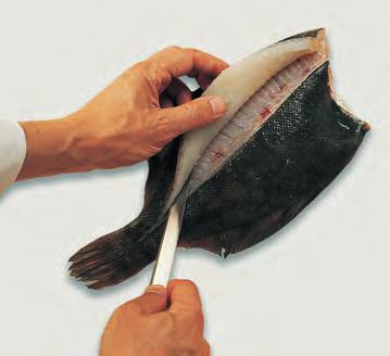 Making long, smooth cuts, cut horizontally against the backbone toward the outer edge of the fish.