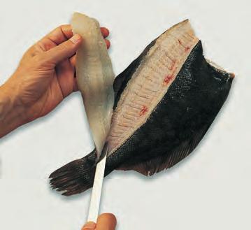(d) Remove the fillet completely. Repeat to remove the three remaining fillets.