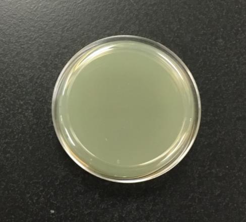 Detection Methods Wild Yeast Lin s Cupric Sulfate Medium Copper Sulfate Ammonium Chloride Together suppress