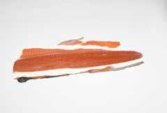 5 FS919 Salmon Sides Skin on