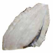 Prices may vary, please check at time of order. Frozen Fish Pollock Fillets 200-225g Skinless Boneless. Case of 4.54 4.
