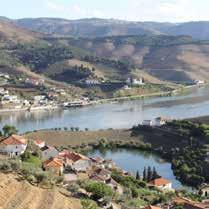 Later in the morning we propose a trip in the Douro River, in a typical Rabelo boat, which originally carried the barrels of the Douro wine to the cellars