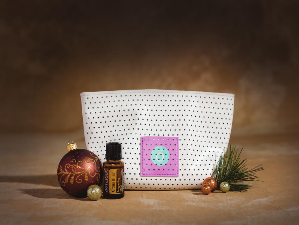 PERFORATED DIFFUSER BAG WITH CITRUS BLISS 60203742 31,75 wholesale 28 PV 28.