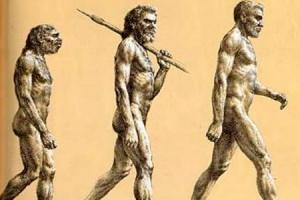There is some evidence for this. Neanderthals did become progressively rare as Europe moved into the coldest phase of the last ice age and as modern humans migrated into Europe.