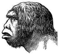 2 Neanderthal People Learned Basic Skills Imagine, if you can, a muscular group of people standing before a cave and looking out over a cold landscape.