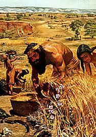The Neolithic (Agricultural) Revolution Humans began producing food