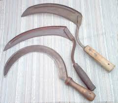 ) Sickle invented for cutting grains; pottery used as containers Crops