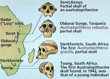 Prehistoric Finds in Africa