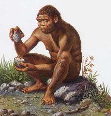 and knowledge available Began making more specialized tools The use of stone tools led to the term Stone Age