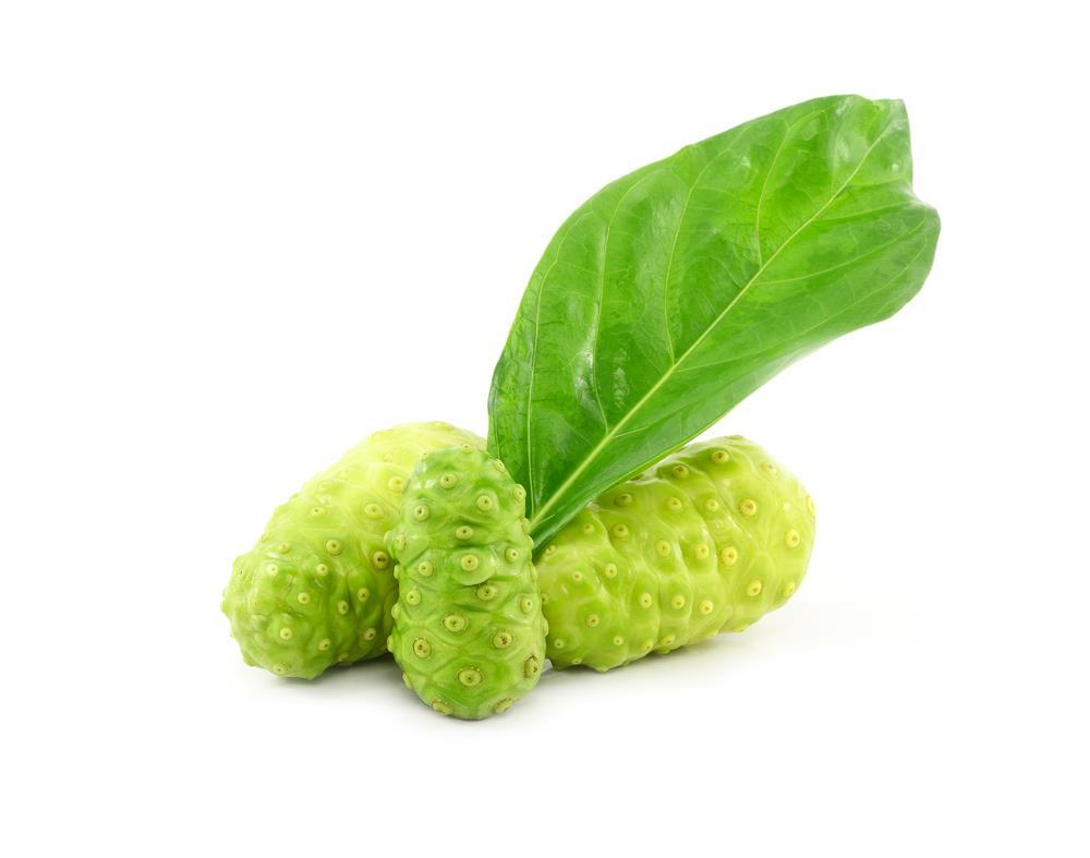 Uses in Industries Cont. Medicinal There are many medicinal benefits to using noni fruit.