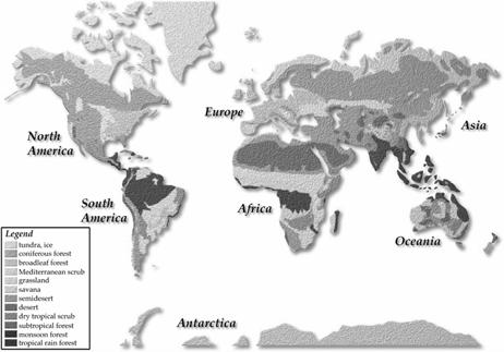 Axes of continents and biogeography