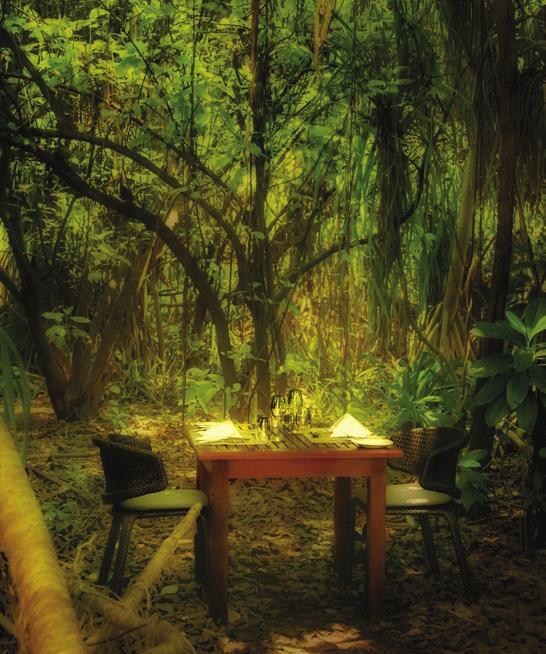 LUNCH IN THE WILDERNESS Dine among the tress and experience the island s lush vegetation while enjoying a delectable lunch. Includes food and a bottle of wine.