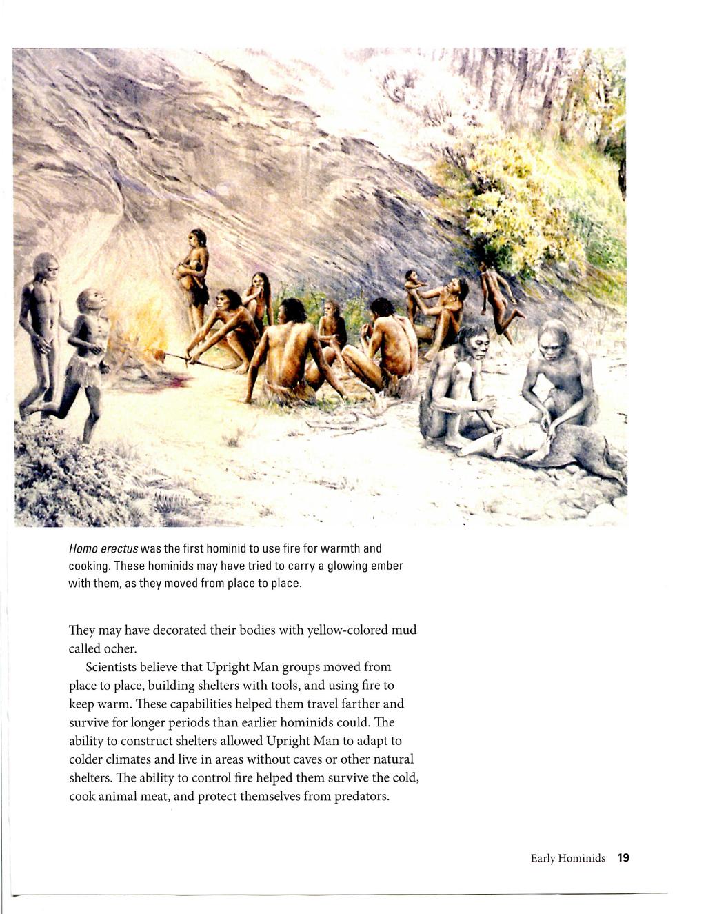 Homo erectus was the first hominid to use fire for warmth and cooking. These hominids may have tried to carry a glowing ember with them, as they moved from place to place.