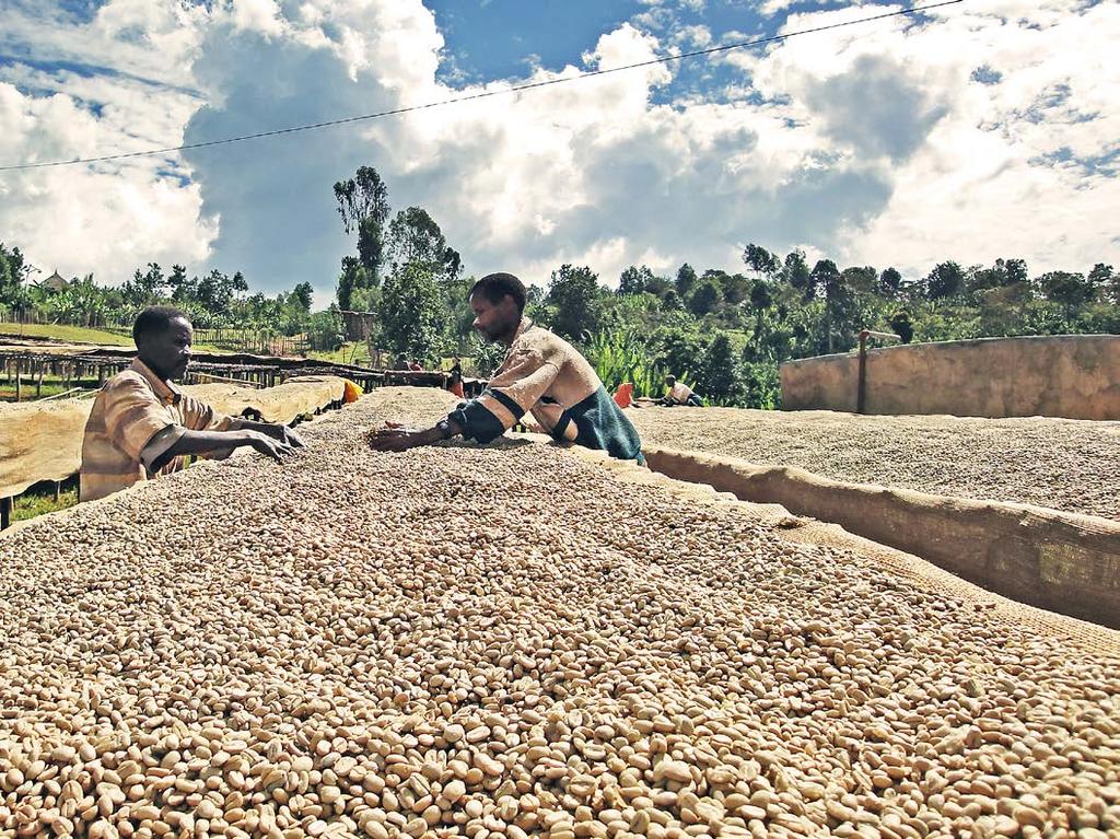 Sourcing & roasting We make sure we know where our beans come from by travelling the world to meet farmers and producers.