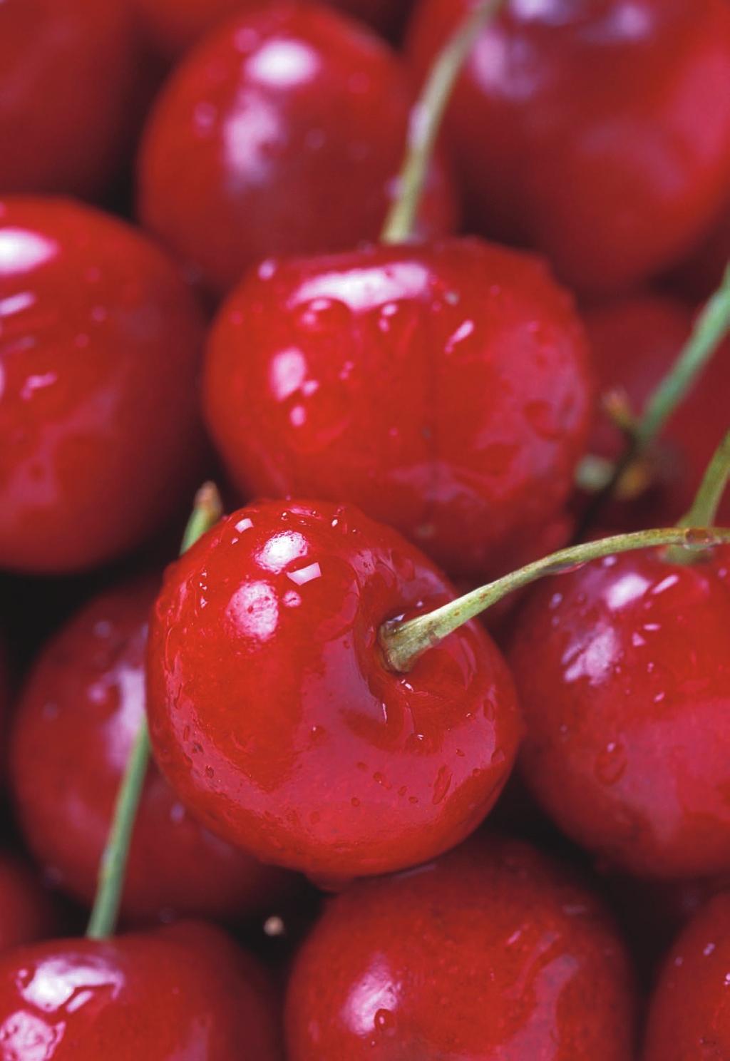 STAPLE HERE Cover Photo: Fresh Bing cherries. Taken by Peggy Greb. Public domain image by USDA Agricultural Research Service.