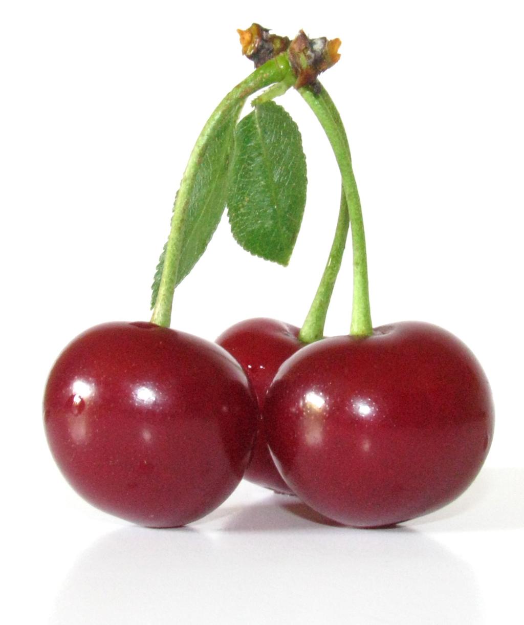 Tart Cherry Benefits The number of farms producing tart cherries is relatively stable, changing little over the past decade.