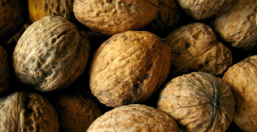Oregon s Other Tree Fruits & Nuts Walnut Benefits Oregon s Walnuts Walnuts have a very limited range growing range worldwide.
