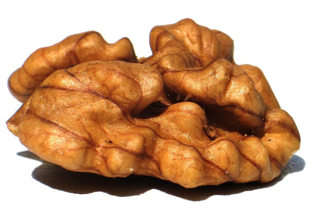 The soil and site requirements for Oregon-grown walnuts were established through observation, limiting the progress of the industry. Profitable production in the Willamette Valley is climate related.