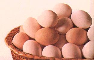 EGGS belong to the meat group contain nutrients protein fat vitamins A, B, D, K