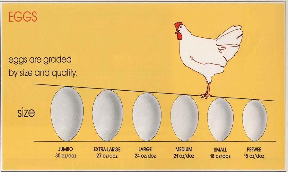 Egg Size The six sizes of eggs