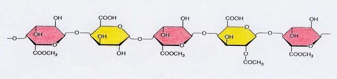 its methyl esters ( COOCH 3 )