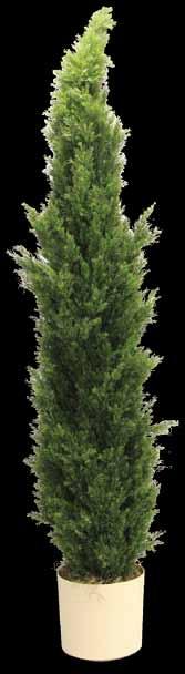 *P 5601009 7 Mini Cedar Pine Tree *P 5601010 8