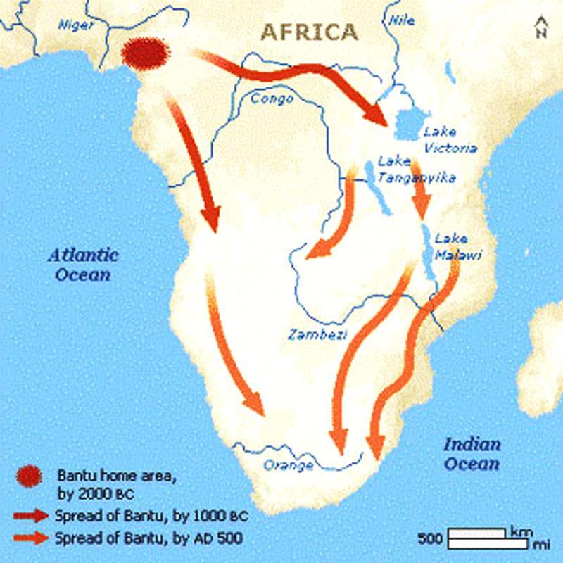 BANTU MIGRATIONS The Bantu may have migrated due to: After the development of agriculture, the population increased and caused people to use more land to sustain the population Because of their
