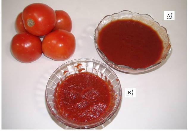 WWW.AGRIMOON.COM Fig. 22.2 Tomato puree (A) and Tomato paste (B) Tomato juice or pulp is strained or filtered to remove portions of skin, seeds and large coarse pieces to get uniform juice or pulp.