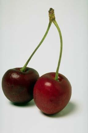 Cherries Pick cherries when fruit has a is dark red skin and the inside