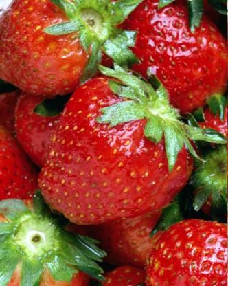 Strawberries and Raspberries Pick when ripe according to taste.