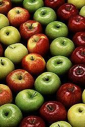 Pick and sort apples according to quality.