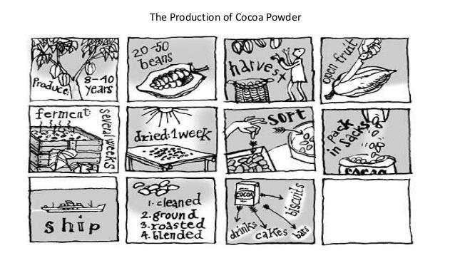 The diagram shows various stages in the production process for cocoa powder, from the tree to the finished confectionery product.
