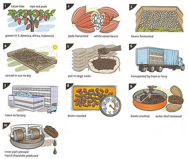 IELTS Process - Chocolate Production You should spend about 20 minutes on this task. The illustrations show how chocolate is produced.