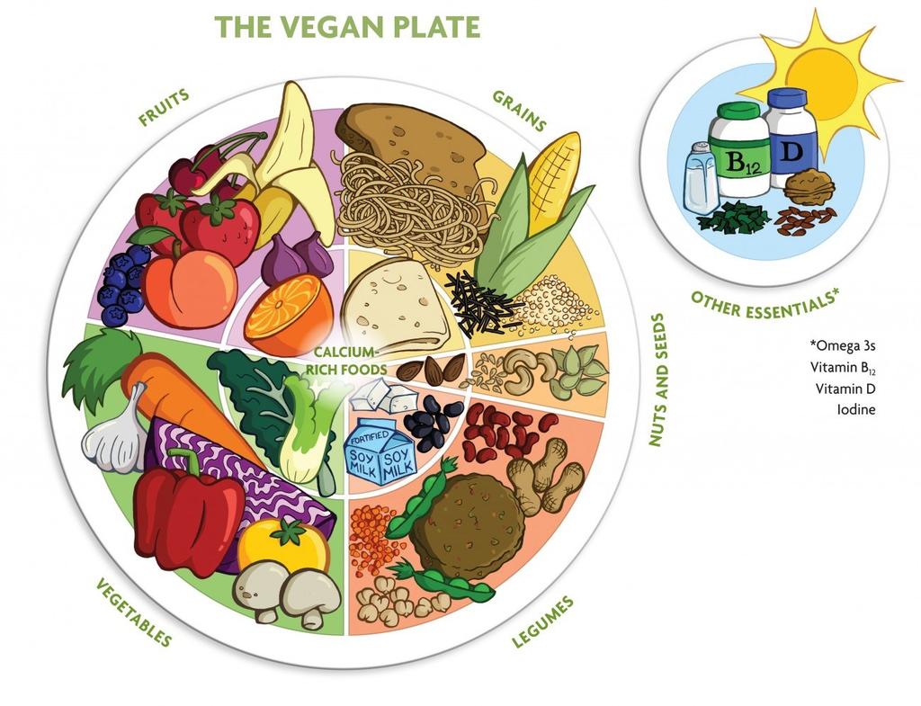 The above image was taken from Becoming Vegan: The Complete Reference to Plant Based Nutrition